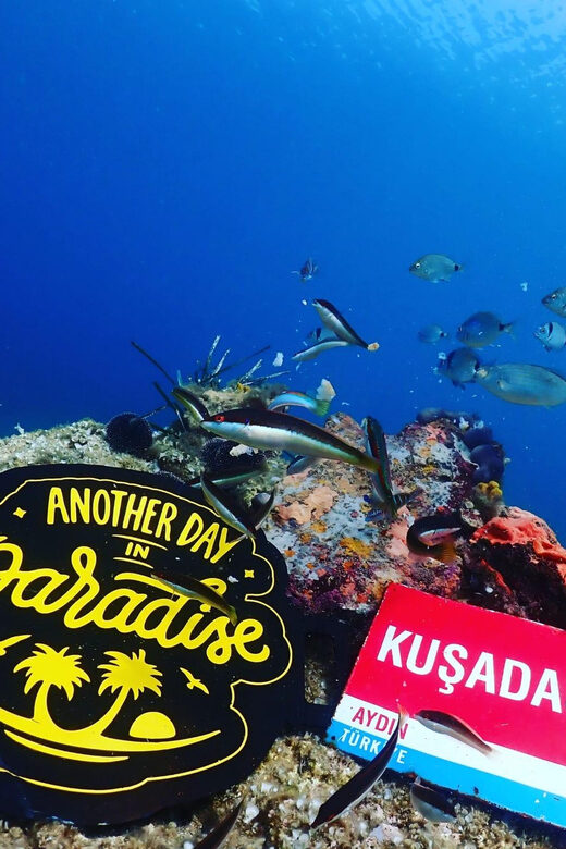 AMAZING KUSADASI SCUBA DIVING - Key Points