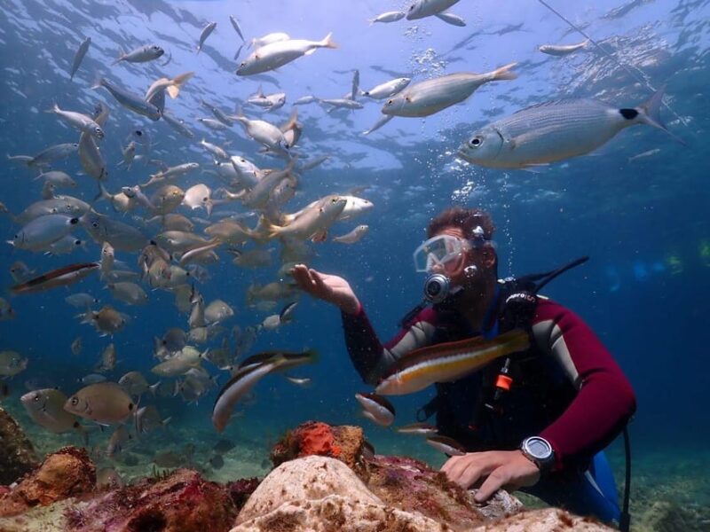 AMAZING KUSADASI SCUBA DIVING - Accessibility and Restrictions