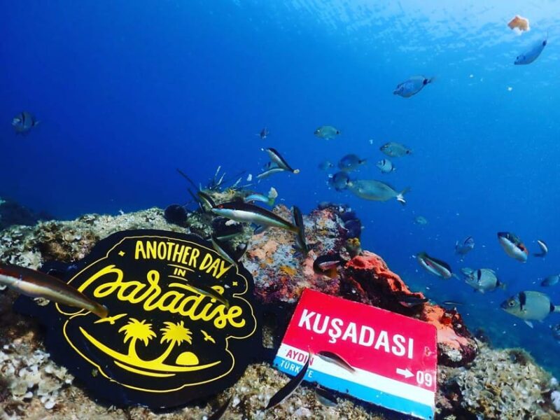AMAZING KUSADASI SCUBA DIVING - Flexibility with Reservations and Cancellations