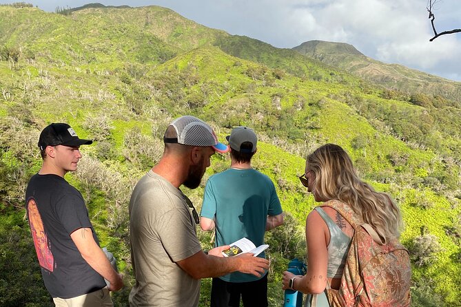 Amazing Maui Ridge Hike - Safety and Accessibility Considerations