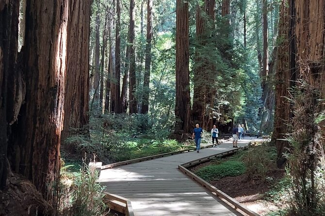 Amazing Muir Woods and Sausalito Tour - Practical Tips and Considerations