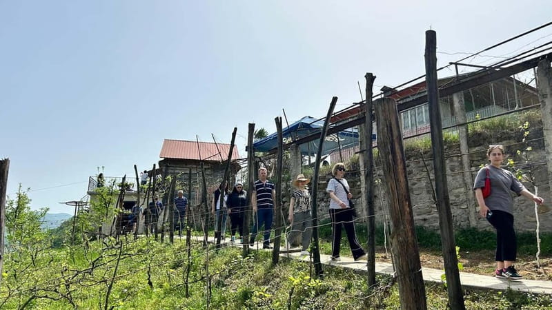 Amazing one-day trip in Lechkhumi from Kutaisi - Logistics and Booking Flexibility