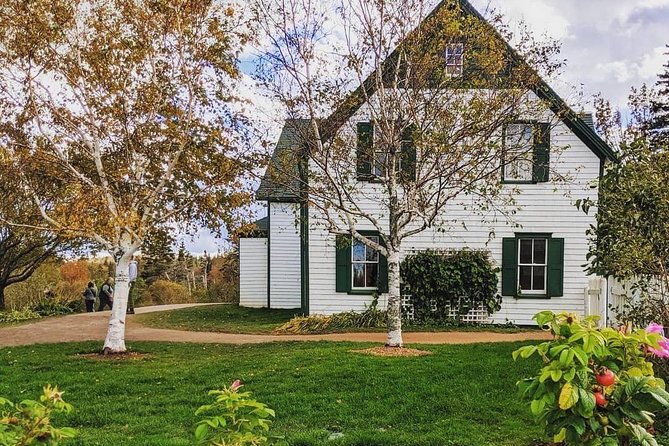 Amazing PEI Experience 5 passengers only - Brackley Beach: Walk on the Sand Dunes