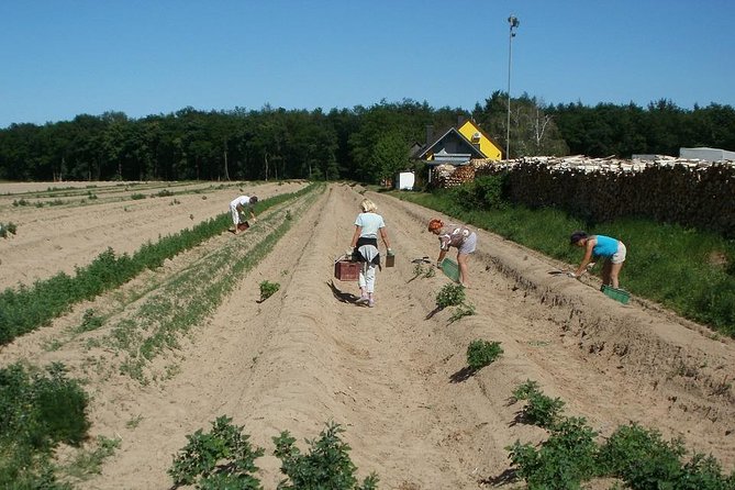 Amazing Schwetzingen Garden Tour - What’s Not Included in the Tour