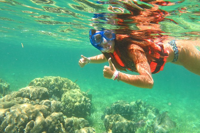 Amazing Snorkel Adventure! Round Transportation From Cancun - Key Points