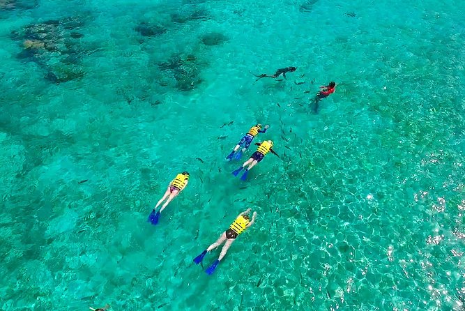 Amazing Snorkel Adventure! Round Transportation From Cancun - Practical Details: Equipment, Fees, and Safety Measures