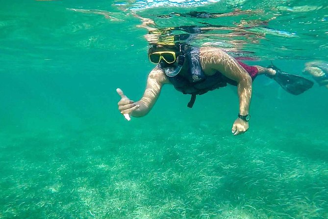 Amazing Snorkel Adventure! Round Transportation From Cancun - Who Will Appreciate This Snorkeling Tour?