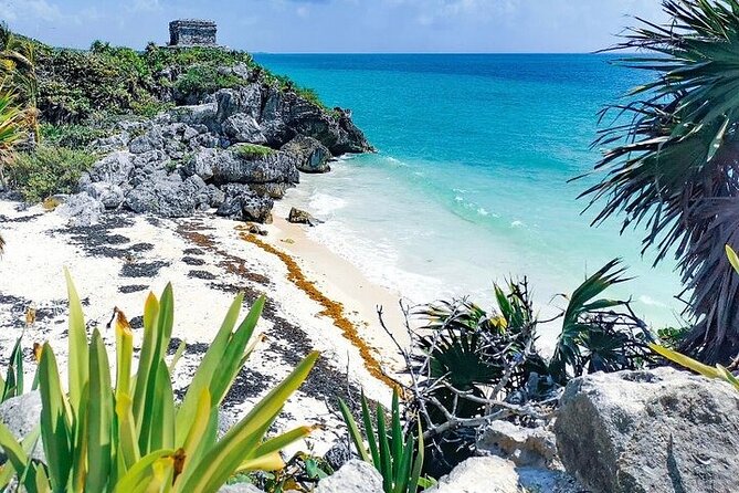 Amazing Tour- Visit Tulum, Cenote (Snorkeling) and Rappel & Jungle ZipLine - Practical Tips and Important Details