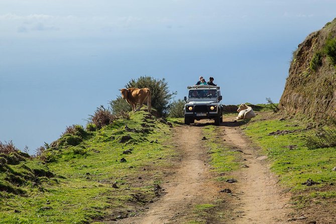 Amazing West - Jeep Safari Tour - Full Day - Shared Tour - Exciting Full-Day Adventure in Madeira’s West by Jeep