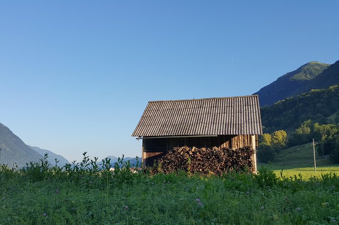 Amazing Willys Jeep Adventure - The Excitement of Crossing Hanging Bridges and Untamed Rivers