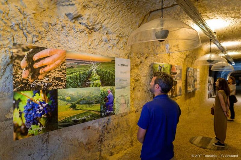 Amboise: Caves Ambacia Visit and Wine Tasting - The Sum Up: A Wine Tour with History, Senses, and Flavor
