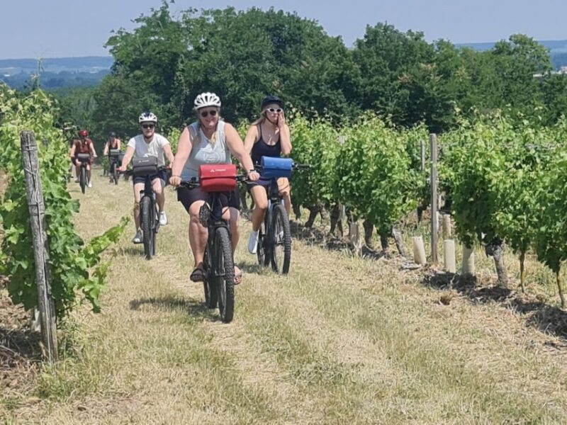 Amboise: Highlights Private E-Bike Tour w/ Clos Lucé Ticket - Key Points
