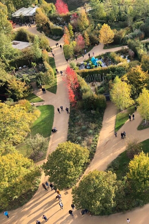 Amboise Hot-Air Balloon Sunrise Ride over the Loire Valley - Additional Tasting and Cultural Experiences