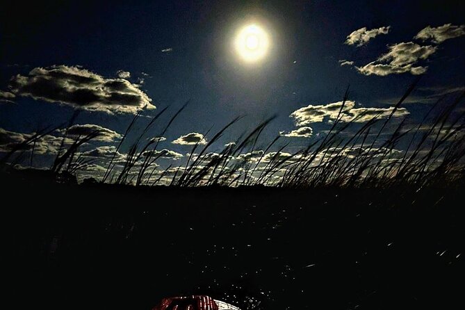 Amelia Full Moon Paddle at Talbot Islands State Park - Start Point at Jacksonville for Easy Access