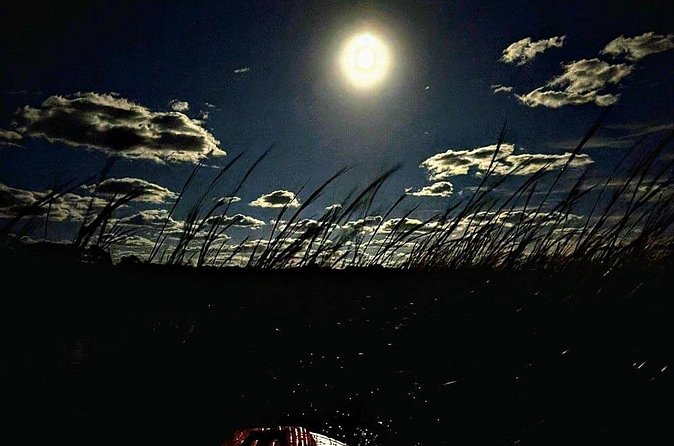 Amelia Full Moon Paddle at Talbot Islands State Park - Discovering the Beauty of Big Talbot Island State Park