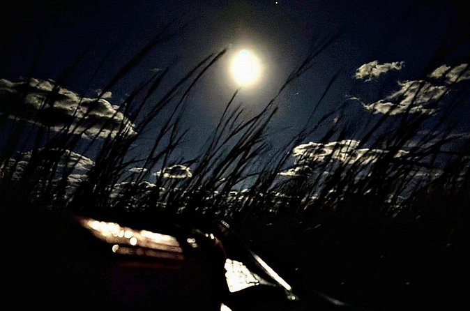 Amelia Full Moon Paddle at Talbot Islands State Park - Exploring Little Talbot Island State Park’s Untouched Wilderness