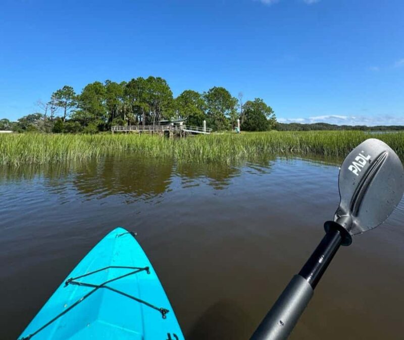 Amelia Island: Full Moon Paddle Tour - PADL Island - Discover the Magic of Amelia Islands Full Moon Paddle Tour