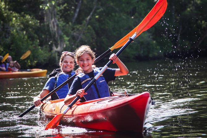 Amelia Island Guided Kayak Tour of Lofton Creek - Unlock the Beauty of Lofton Creek with a Guided Kayak Tour