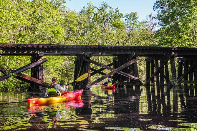 Amelia Island Guided Kayak Tour of Lofton Creek - Key Points