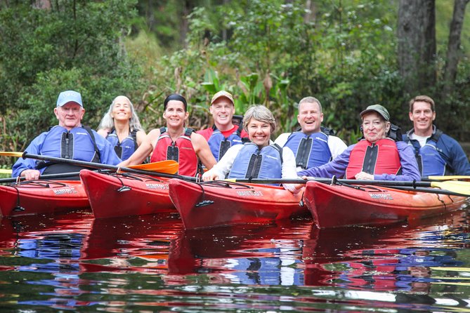 Amelia Island Guided Kayak Tour of Lofton Creek - The Experience: Calm, Accessible, and Scenic