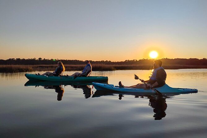 Amelia Island Kayak and Paddleboard Rentals Talbot State Park - Unique Wildlife and Scenic Highlights