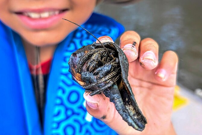 Amelia Island Kayak and Paddleboard Rentals Talbot State Park - The Relaxing Pace and Environmental Focus