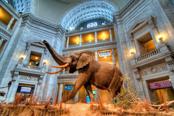 American and Natural History in One Day - Discover American and Natural History in One Convenient Day
