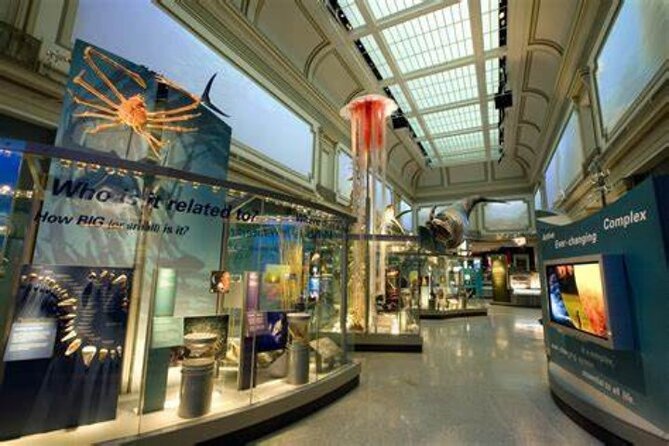 American and Natural History in One Day - Exploring the American History Museum’s Iconic Artifacts
