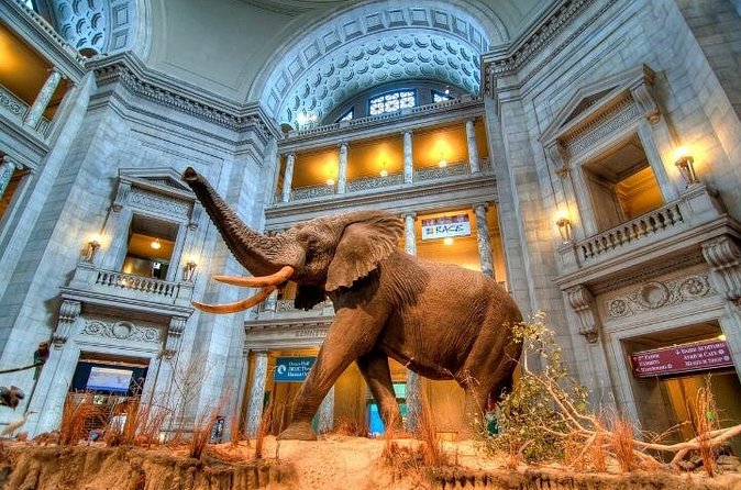 American and Natural History in One Day - Logistics and Recommendations