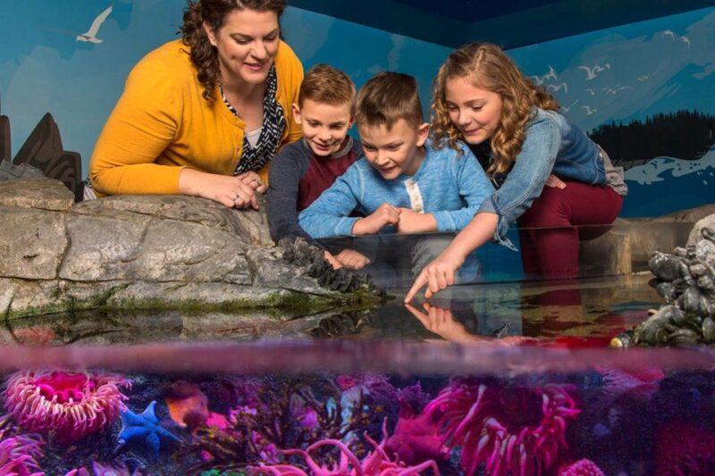 American Dream: SEA LIFE® Aquarium Entry Ticket - The Interactive Exhibits and Themed Zones