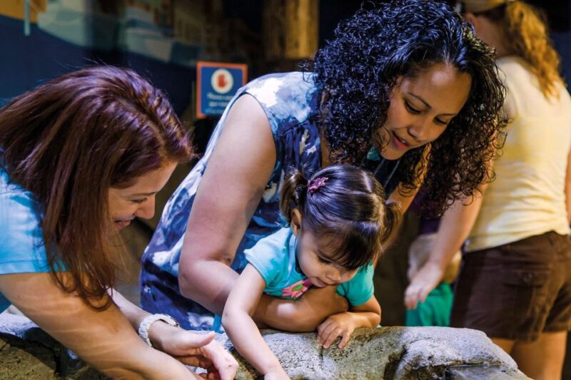 American Dream: SEA LIFE® Aquarium Entry Ticket - The Walk-Through ‘City Under the Sea’ Tunnel