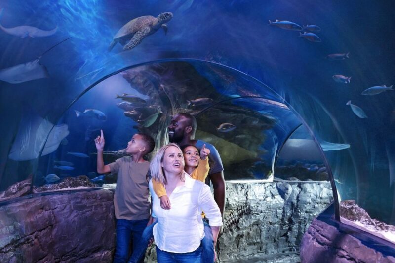 American Dream: SEA LIFE® Aquarium Entry Ticket - Limitations and Considerations