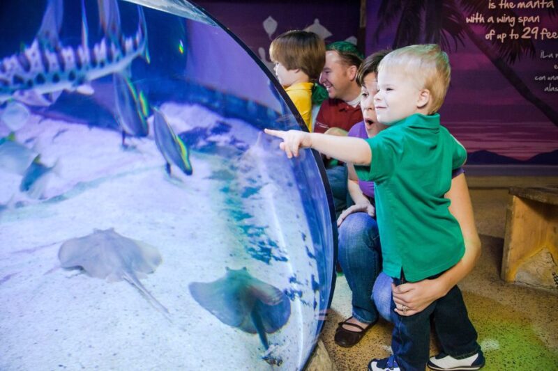 American Dream: SEA LIFE® Aquarium Entry Ticket - The Sum Up: A Fun and Educational Marine Adventure in New Jersey