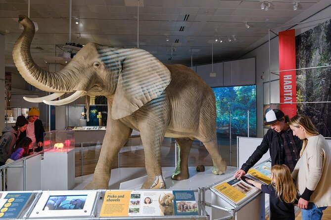 American Museum of Natural History Admission Ticket - Practical Tips for Visiting the Museum in NYC