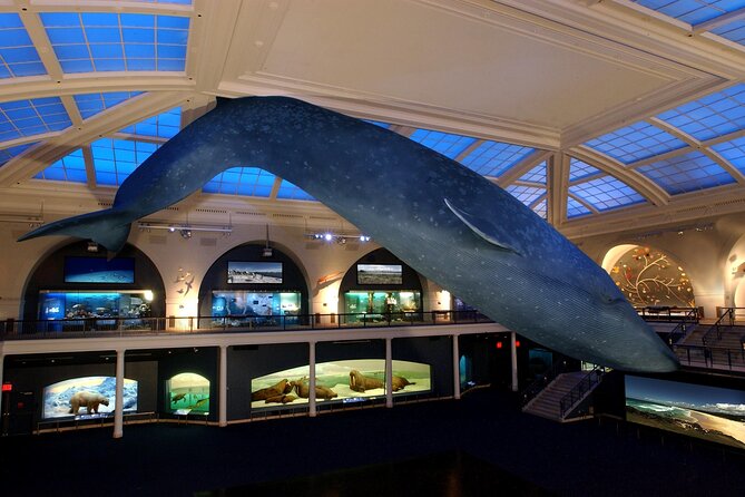 American Museum of Natural History Admission Ticket - The Experience for Families and Kids