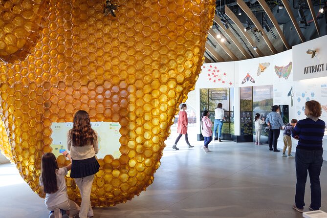 American Museum of Natural History Admission Ticket - Visitor Feedback on Crowds and Accessibility