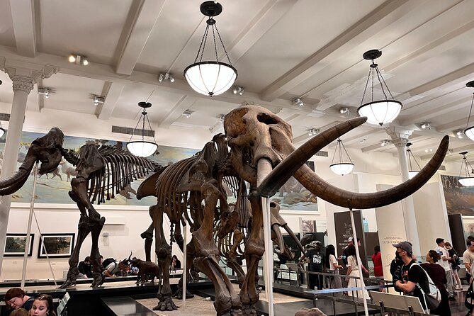 American Museum of Natural History and MOMA Combo Tickets - Accessibility and Practical Tips for Visitors