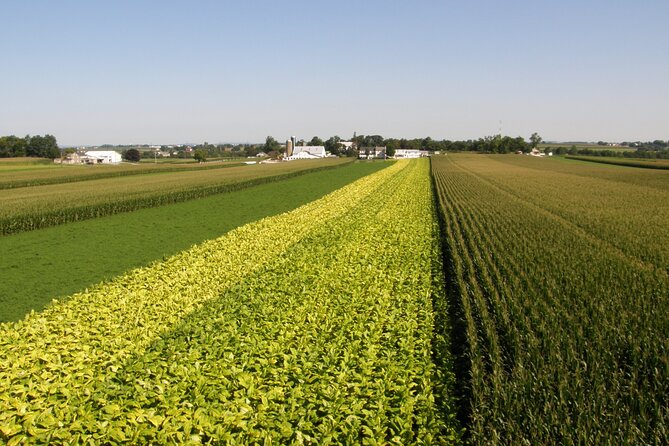 Amish Farmlands Tour - The Experience of the Amish Farmlands Tour