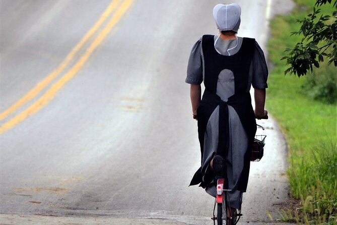 Amish Farmlands Tour - Accessibility and Booking Flexibility