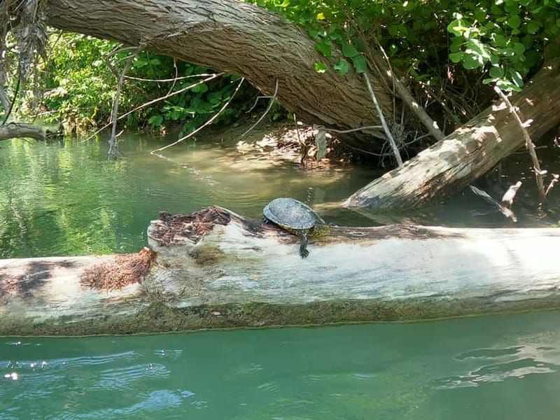Ammoudia: 13 km Kayaking Adventure in the Acheron River. - Scenic Ride to the Mythical Acheron River