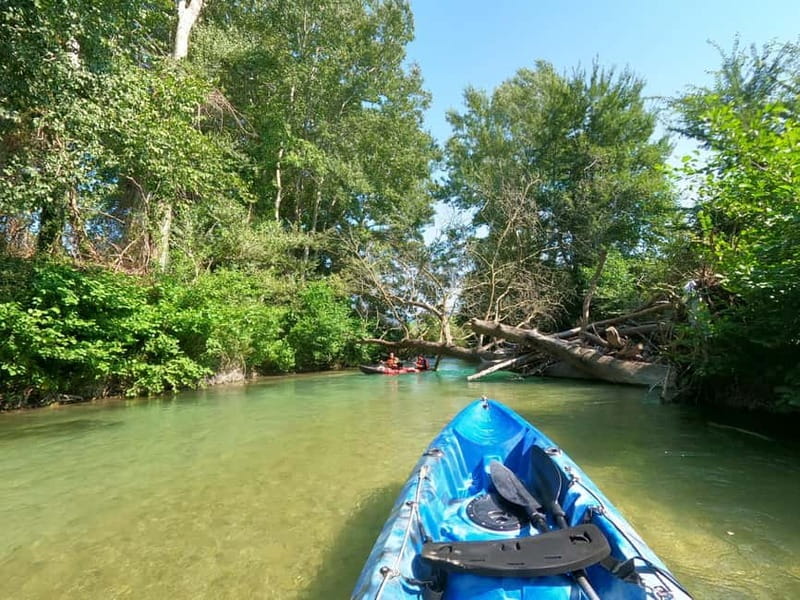 Ammoudia: 13 km Kayaking Adventure in the Acheron River. - Logistical Details: Meeting Point and Included Items