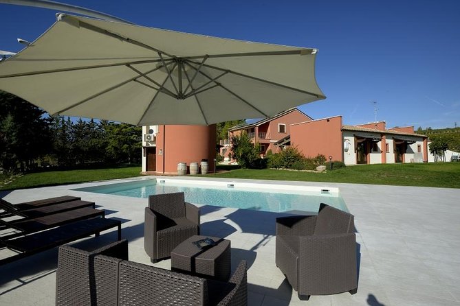 Among ancient sunny vineyards, visit and taste the wines from the San Lorenzo cellar - Key Points