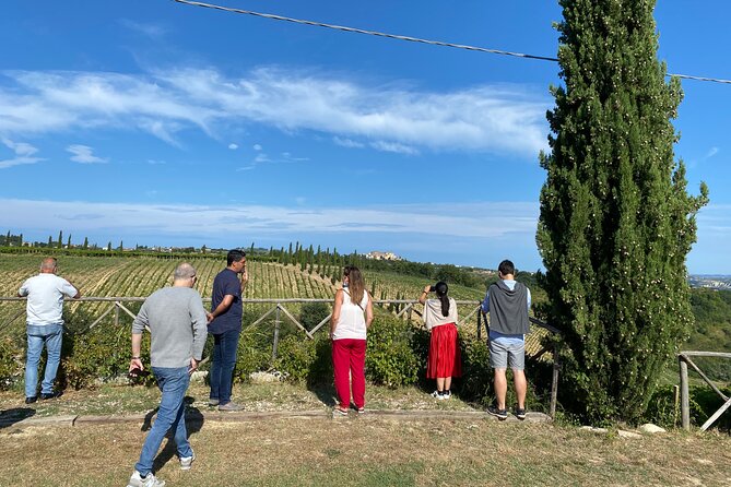 Among ancient sunny vineyards, visit and taste the wines from the San Lorenzo cellar - Vineyard Visit: From Soil to Bottle