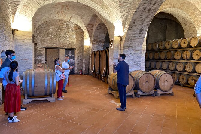 Among ancient sunny vineyards, visit and taste the wines from the San Lorenzo cellar - The Atmosphere and Group Size