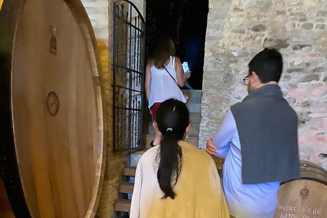 Among ancient sunny vineyards, visit and taste the wines from the San Lorenzo cellar - Practical Information and Booking Details