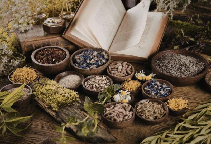 Among Perfumes and Poisons: Alchemists and Apothecaries of Brescia - The Licensed Guides and Their Expertise