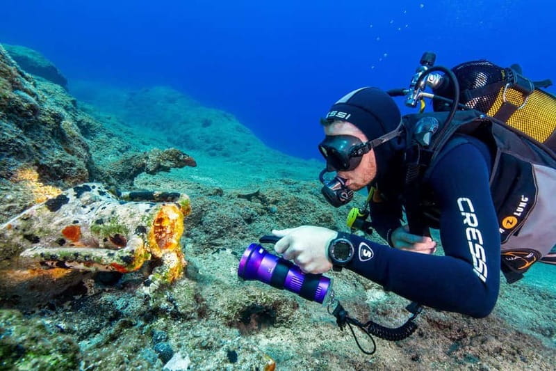Amorgos Underwater Experience Open Water Diver Course - Who Should Sign Up for the Open Water Diver Course