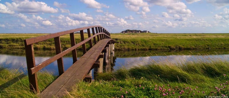 Amrum: Day trip by boat to Hallig Hooge - Discover the Charm of Hallig Hooge on a Quick Boat Trip from Amrum