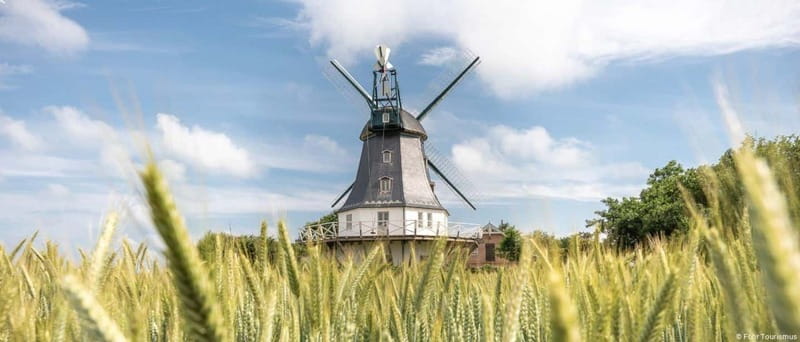 Amrum: Daytrip by boat to Föhr - Key Points