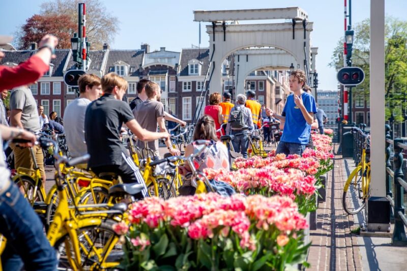 Amsterdam: 2-Hour City Highlights Guided Bike Tour - Guide Expertise and Tour Pacing
